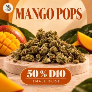 MANGO POPS — visuel commercial MJ Store