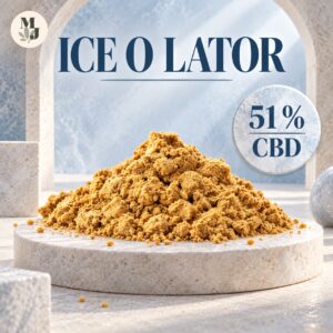 ICE O LATOR — visuel commercial MJ Store