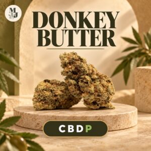 DONKEY BUTTER — visuel commercial MJ Store