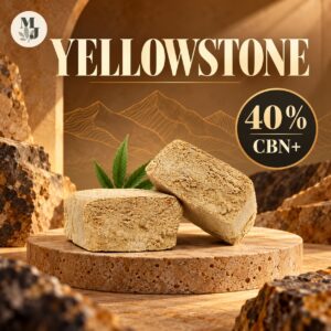 YELLOWSTONE — visuel commercial MJ Store