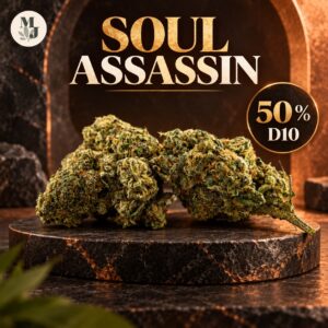 SOUL ASSASSIN — visuel commercial MJ Store