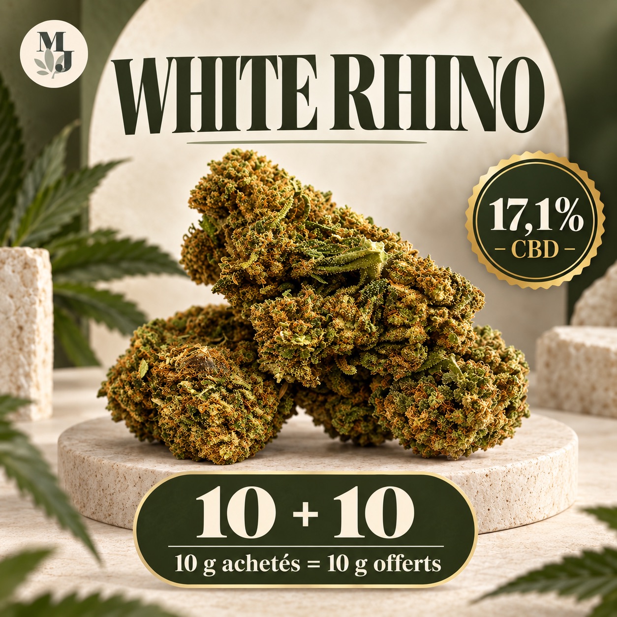 WHITE RHINO — visuel commercial MJ Store