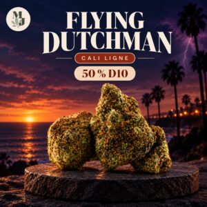 FLYING DUTCHMAN — visuel commercial MJ Store