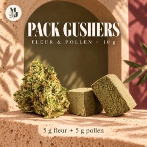 PACK GUSHERS — composition du pack