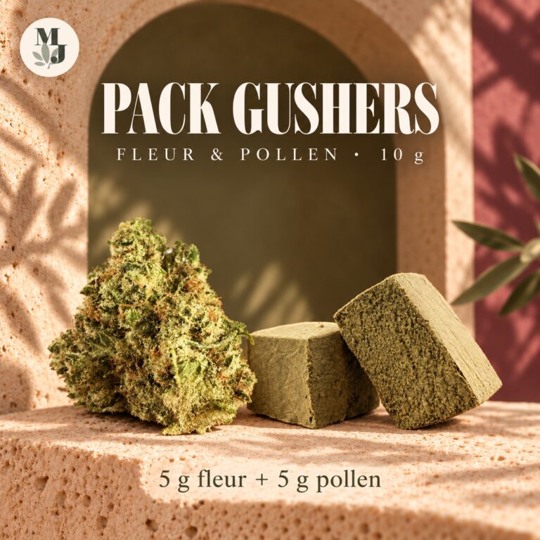 PACK GUSHERS — composition du pack