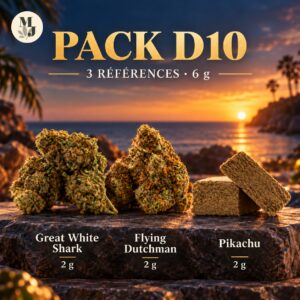 Pack D10 de 6 g : Great White Shark à gauche, Flying Dutchman au centre et Pikachu à droite, 2 g de chaque