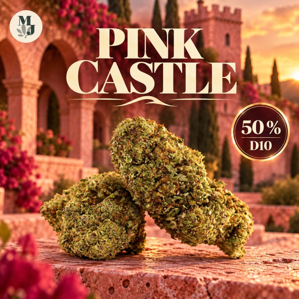 Pink Castle D10 50 % : fleurs sur pierre rose devant une architecture de château, logo MJ Store