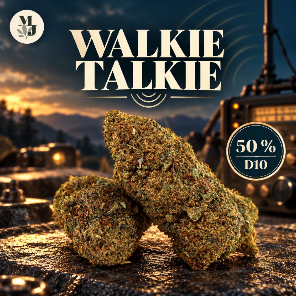 Walkie Talkie D10 50 % : fleurs dans un décor radio vintage bleu pétrole et laiton, logo MJ Store