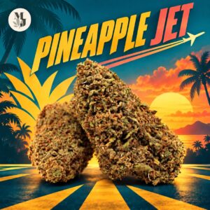 Pineapple Jet — visuel commercial avec logo MJ Store