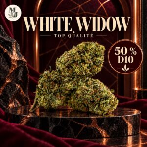 White Widow D10 50 % — Top qualité — MJ Store