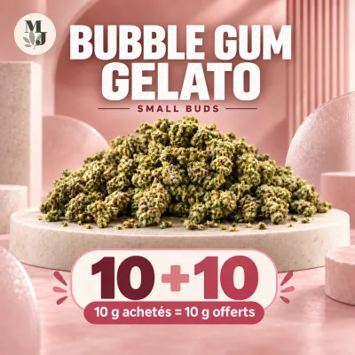 Bubble Gum Gelato - Small Buds 10 achetés 10 offerts