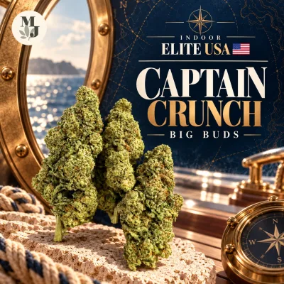 Captain Crunch - Big - Indoor Elite USA