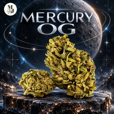 Mercury OG — visuel commercial MJ Store