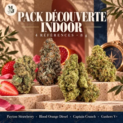 Pack Découverte Indoor — 8 g