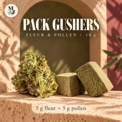 Pack Gushers — Fleur & Pollen — 10 g